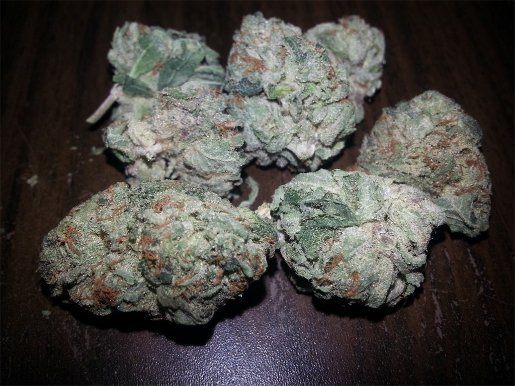 Alles, was Sie über Purple Haze CBD wissen müssen