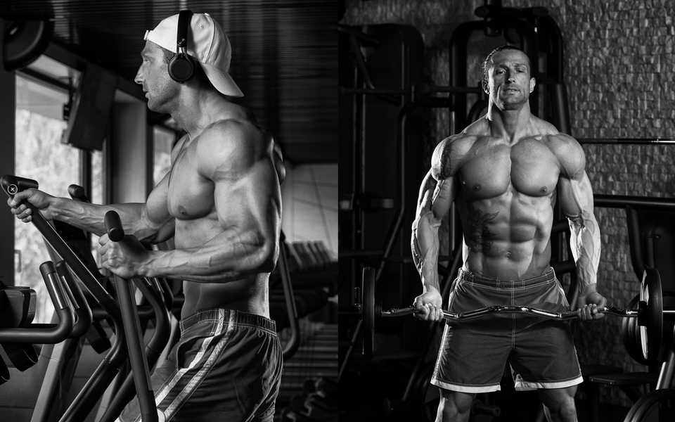 Universal Nutrition: Die besten Supplements für Ihre Fitnessziele