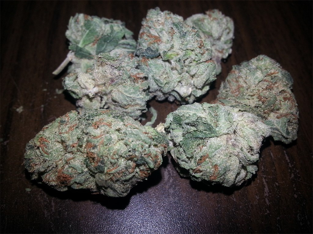 Alles, was Sie über Purple Haze CBD wissen müssen