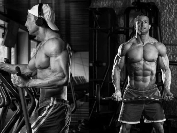 Universal Nutrition: Die besten Supplements für Ihre Fitnessziele